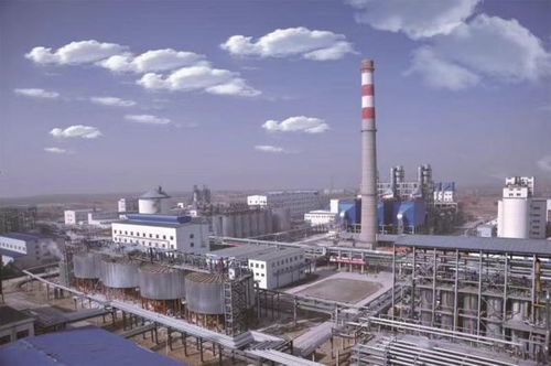 高鋁粉煤灰提取氧化鋁多聯產技術 創新示范引領循環經濟發展